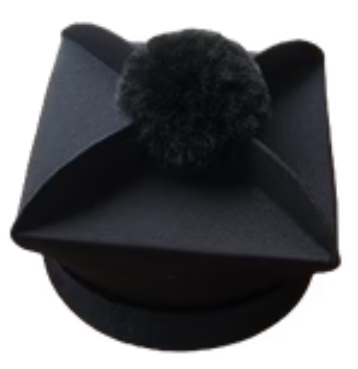 Black square barrette 4 crests